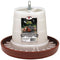 Little Giant Poultry Feeder Hanging 11 lb Plastic - Poudre Pet & Feed Supply